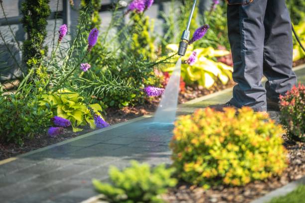 Best Dumpster Area Cleaning  in Highwood, IL